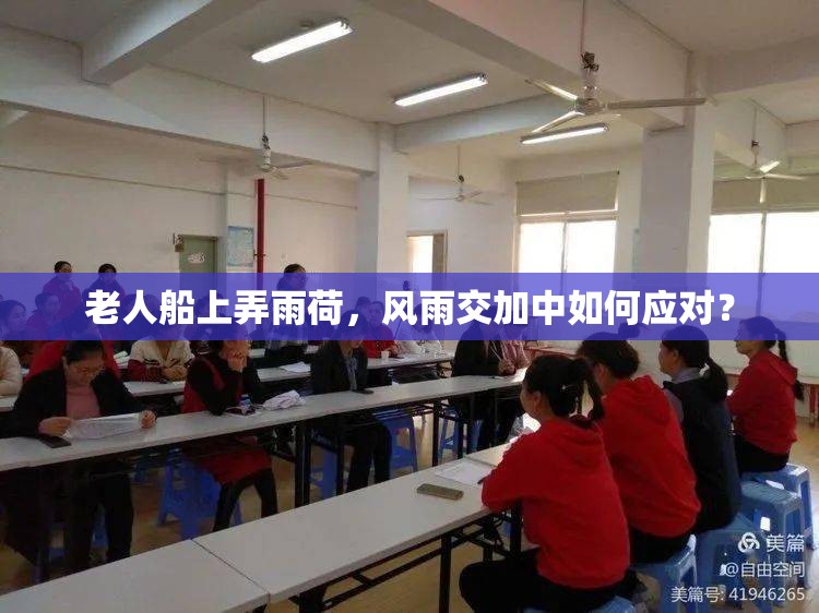 老人船上弄雨荷，风雨交加中如何应对？
