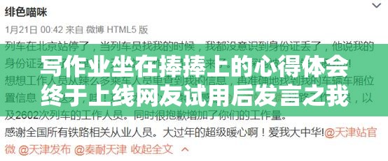 写作业坐在捧捧上的心得体会终于上线网友试用后发言之我见