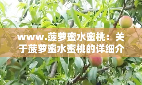 www.菠萝蜜水蜜桃：关于菠萝蜜水蜜桃的详细介绍与探讨