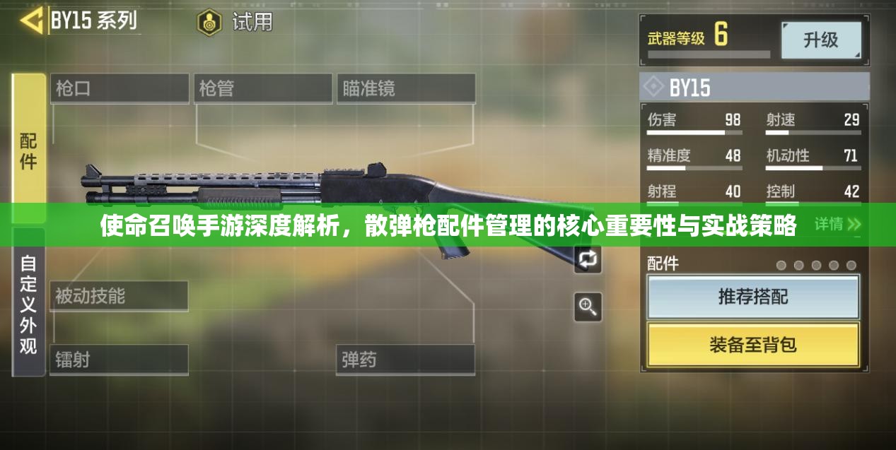 使命召唤手游深度解析，散弹枪配件管理的核心重要性与实战策略