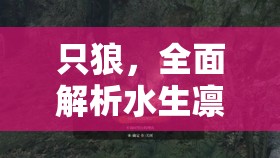 只狼，全面解析水生凛的击杀策略，优化资源管理、掌握技巧以最大化战斗价值