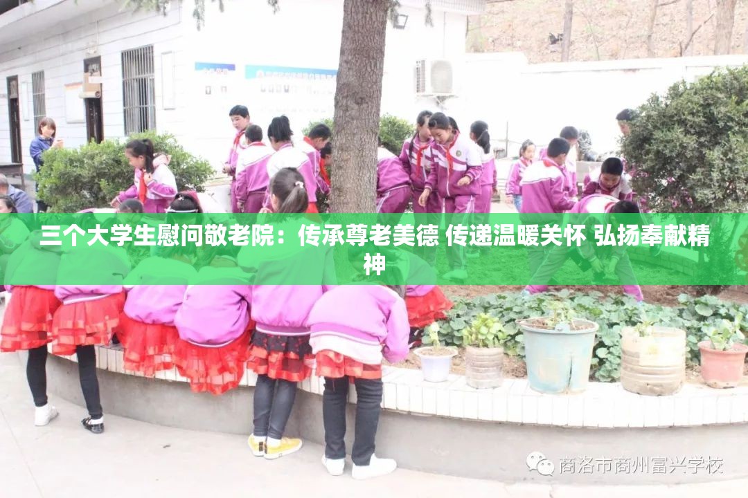 三个大学生慰问敬老院：传承尊老美德 传递温暖关怀 弘扬奉献精神