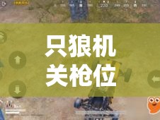 只狼机关枪位置揭秘，资源管理、高效获取技巧与避免资源浪费的全方位攻略