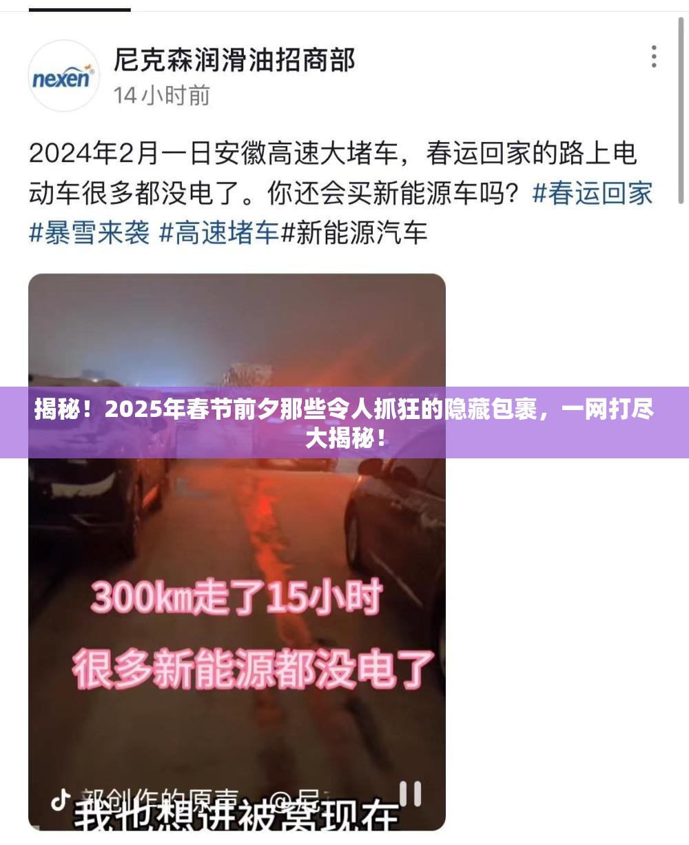 揭秘！2025年春节前夕那些令人抓狂的隐藏包裹，一网打尽大揭秘！