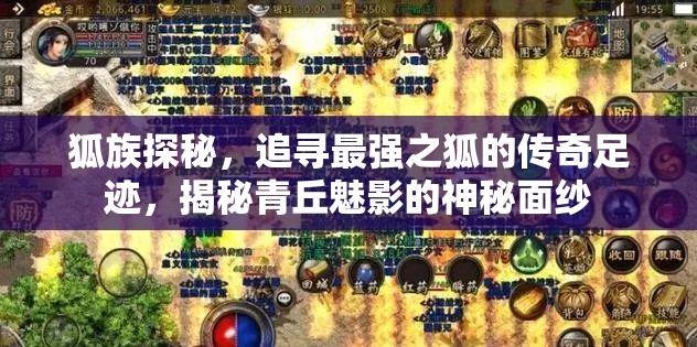 狐族探秘，追寻最强之狐的传奇足迹，揭秘青丘魅影的神秘面纱