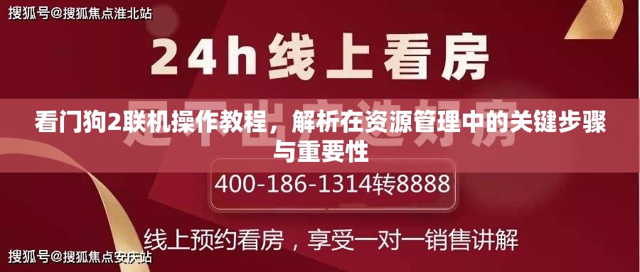 看门狗2联机操作教程，解析在资源管理中的关键步骤与重要性