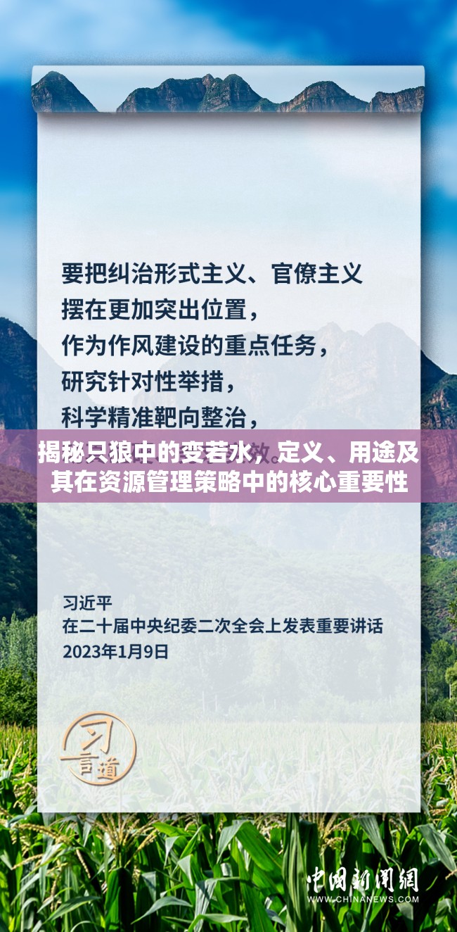 揭秘只狼中的变若水，定义、用途及其在资源管理策略中的核心重要性