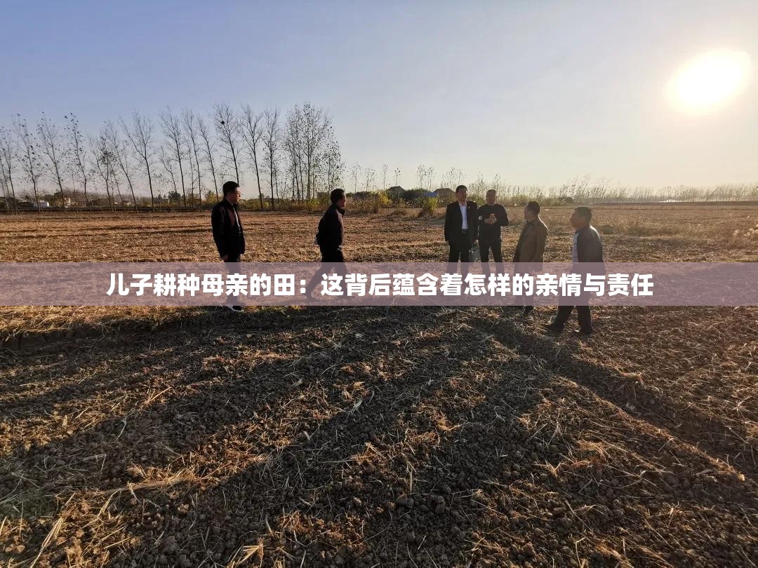 儿子耕种母亲的田：这背后蕴含着怎样的亲情与责任
