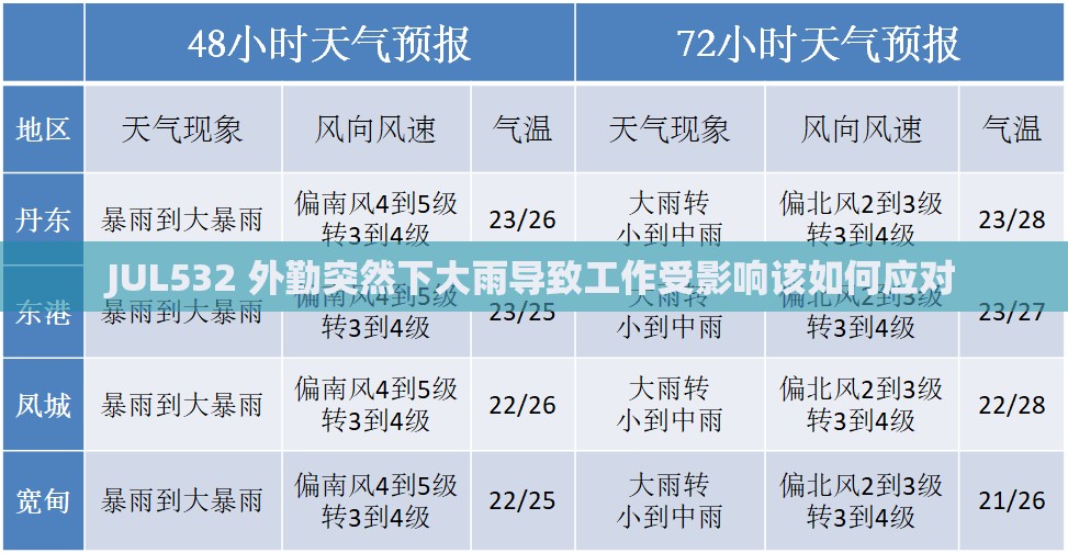 JUL532 外勤突然下大雨导致工作受影响该如何应对