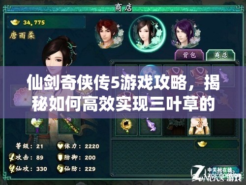 仙剑奇侠传5游戏攻略，揭秘如何高效实现三叶草的无限刷取技巧