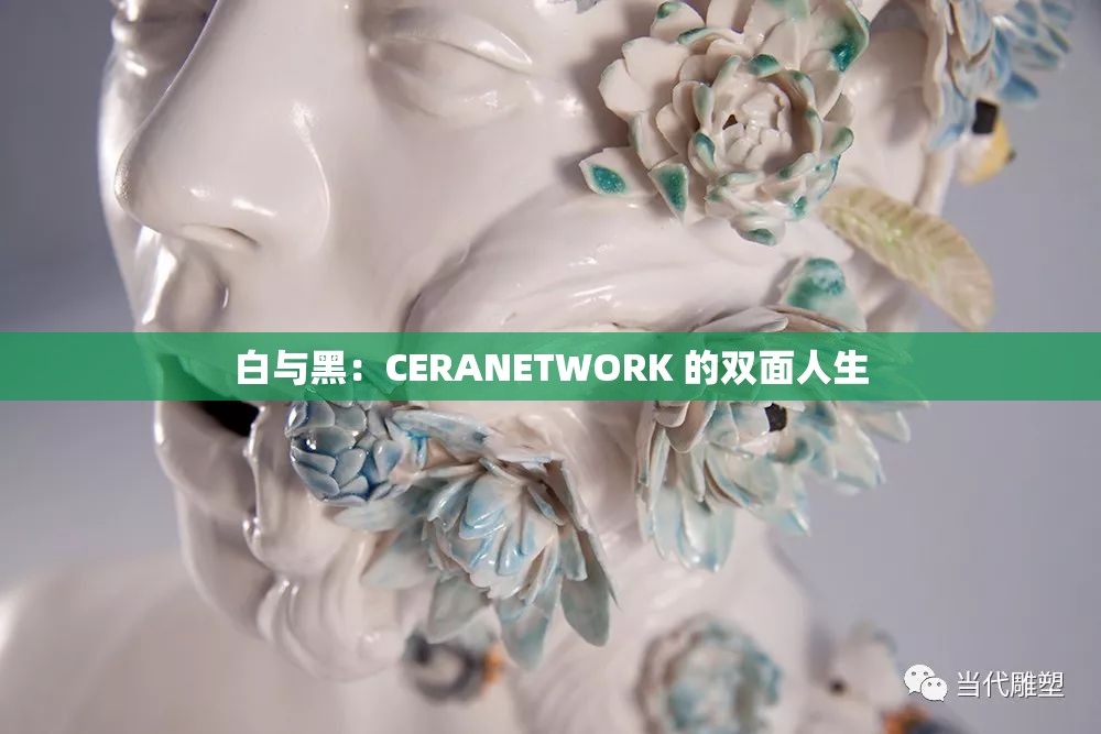 白与黑：CERANETWORK 的双面人生