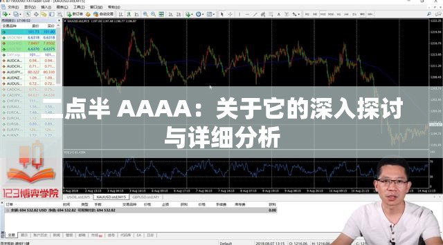 二点半 AAAA：关于它的深入探讨与详细分析