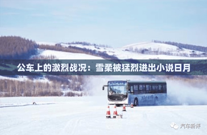 公车上的激烈战况：雪柔被猛烈进出小说日月