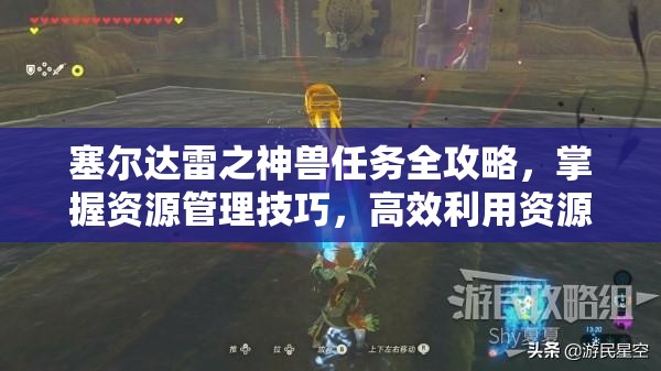 塞尔达雷之神兽任务全攻略，掌握资源管理技巧，高效利用资源避免浪费