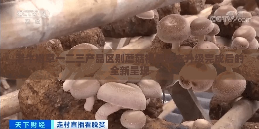 老牛嫩草一二三产品区别蘑菇视频版本升级完成后的全新呈现