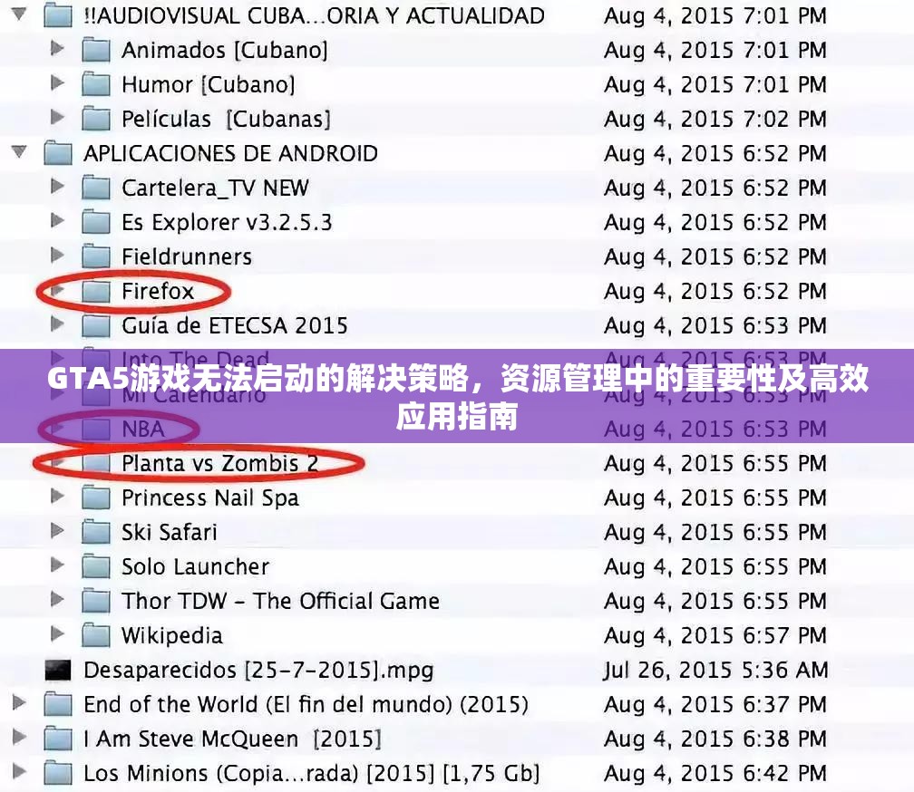 GTA5游戏无法启动的解决策略，资源管理中的重要性及高效应用指南
