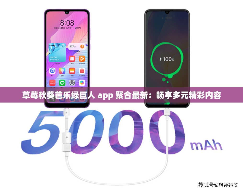 草莓秋葵芭乐绿巨人 app 聚合最新：畅享多元精彩内容