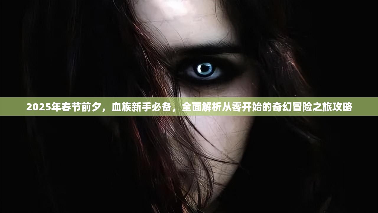 2025年春节前夕，血族新手必备，全面解析从零开始的奇幻冒险之旅攻略