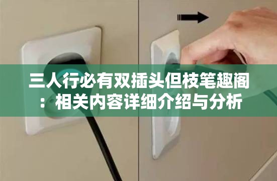 三人行必有双插头但枝笔趣阁：相关内容详细介绍与分析