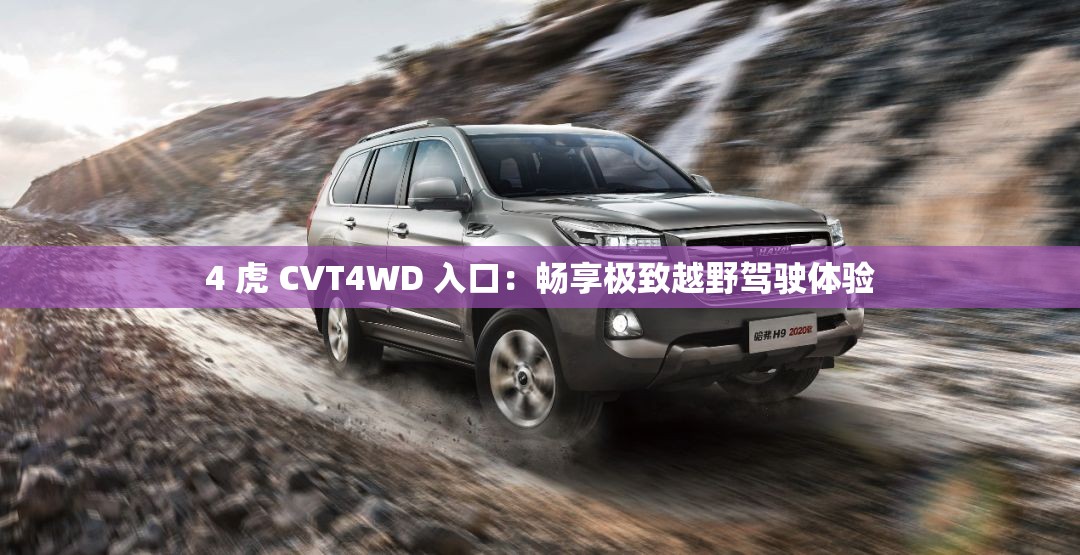 4 虎 CVT4WD 入口：畅享极致越野驾驶体验