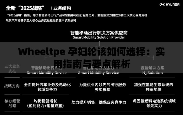 Wheeltpe 孕妇轮该如何选择：实用指南与要点解析