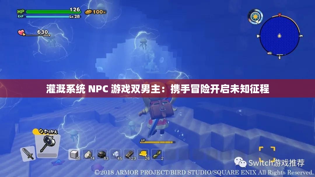 灌溉系统 NPC 游戏双男主：携手冒险开启未知征程