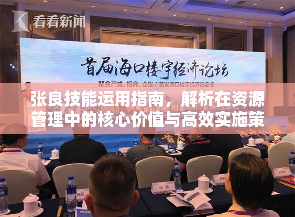 张良技能运用指南，解析在资源管理中的核心价值与高效实施策略