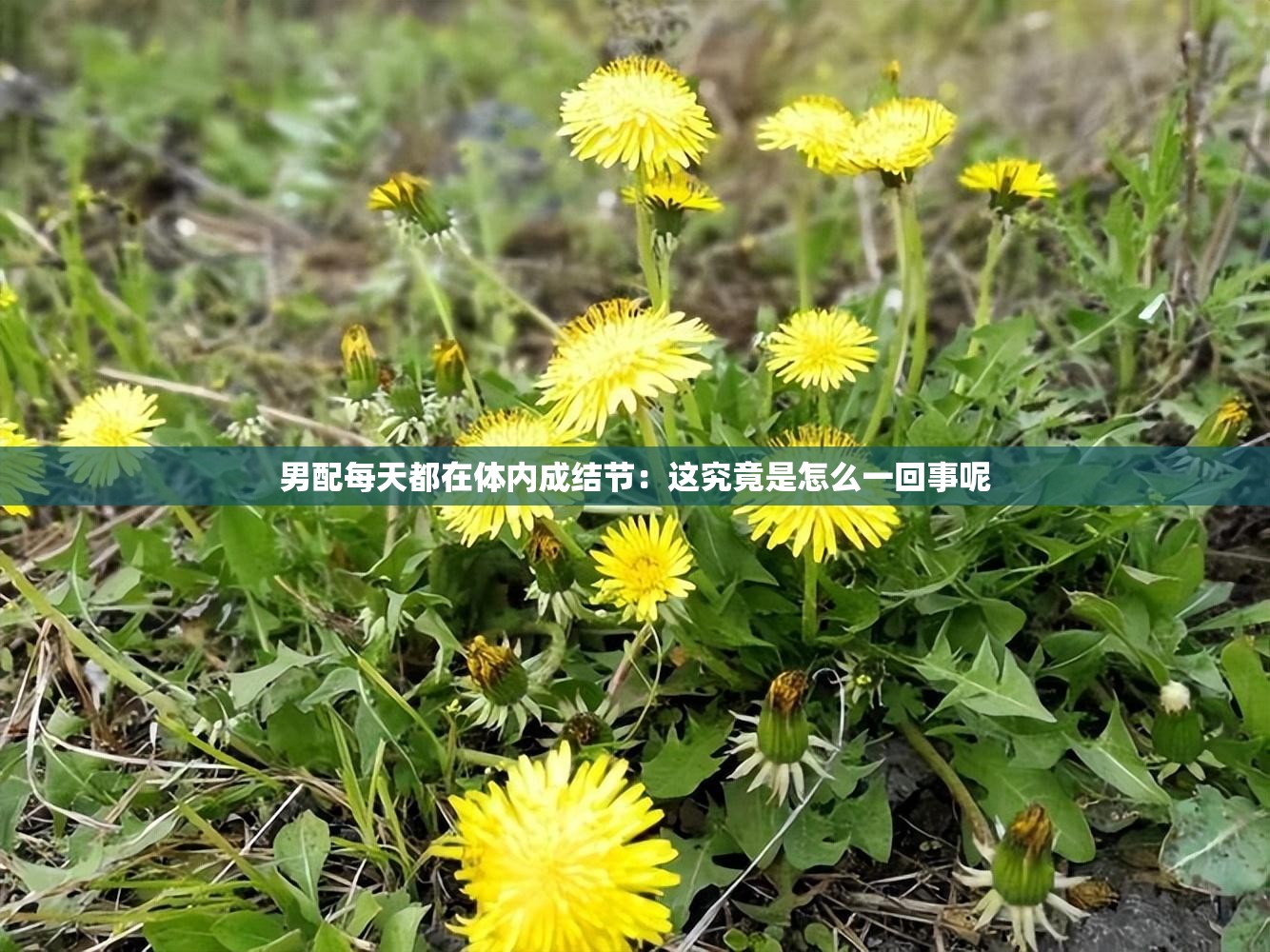 男配每天都在体内成结节：这究竟是怎么一回事呢