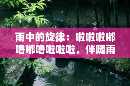 雨中的旋律：啦啦啦嘟噜嘟噜啦啦啦，伴随雨滴奏响心灵之歌
