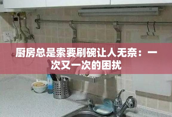 厨房总是索要刷碗让人无奈：一次又一次的困扰