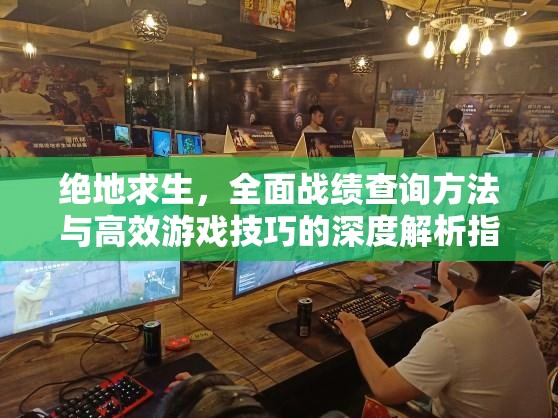 绝地求生，全面战绩查询方法与高效游戏技巧的深度解析指南