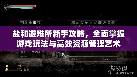 盐和避难所新手攻略，全面掌握游戏玩法与高效资源管理艺术