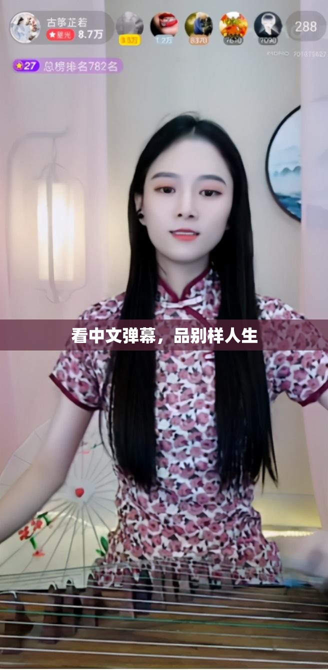 看中文弹幕，品别样人生