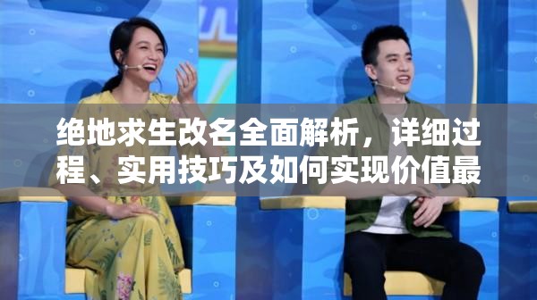 绝地求生改名全面解析，详细过程、实用技巧及如何实现价值最大化