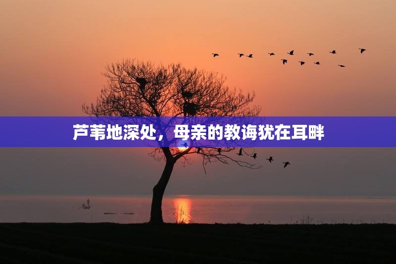 芦苇地深处，母亲的教诲犹在耳畔