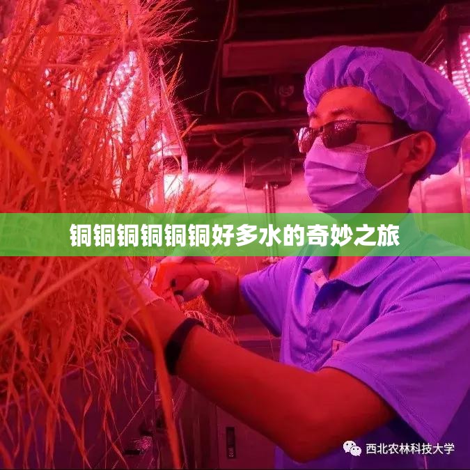 铜铜铜铜铜铜好多水的奇妙之旅