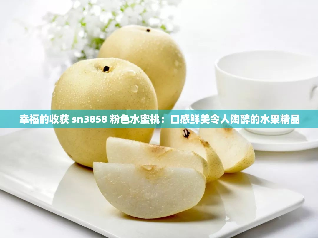 幸福的收获 sn3858 粉色水蜜桃：口感鲜美令人陶醉的水果精品