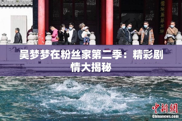 吴梦梦在粉丝家第二季：精彩剧情大揭秘