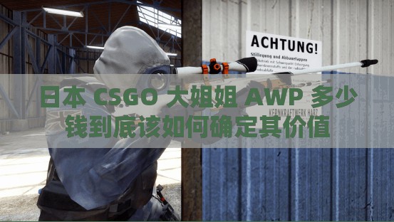 日本 CSGO 大姐姐 AWP 多少钱到底该如何确定其价值