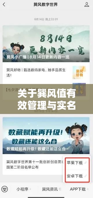 关于巽风值有效管理与实名认证实施问题的深入探讨分析