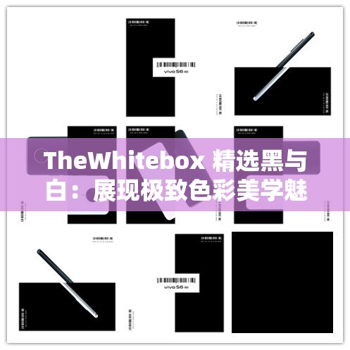 TheWhitebox 精选黑与白：展现极致色彩美学魅力