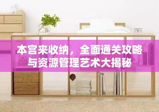 本宫来收纳，全面通关攻略与资源管理艺术大揭秘