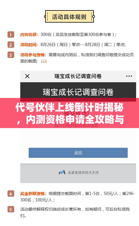 代号伙伴上线倒计时揭秘，内测资格申请全攻略与注意事项