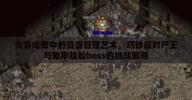 失落传奇中的资源管理艺术，巧妙应对尸王与地牢蜈蚣boss的挑战策略