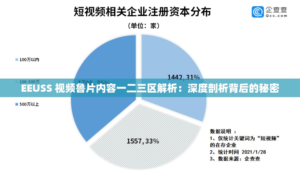 EEUSS 视频鲁片内容一二三区解析：深度剖析背后的秘密