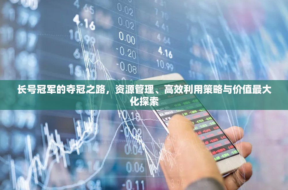 长号冠军的夺冠之路，资源管理、高效利用策略与价值最大化探索
