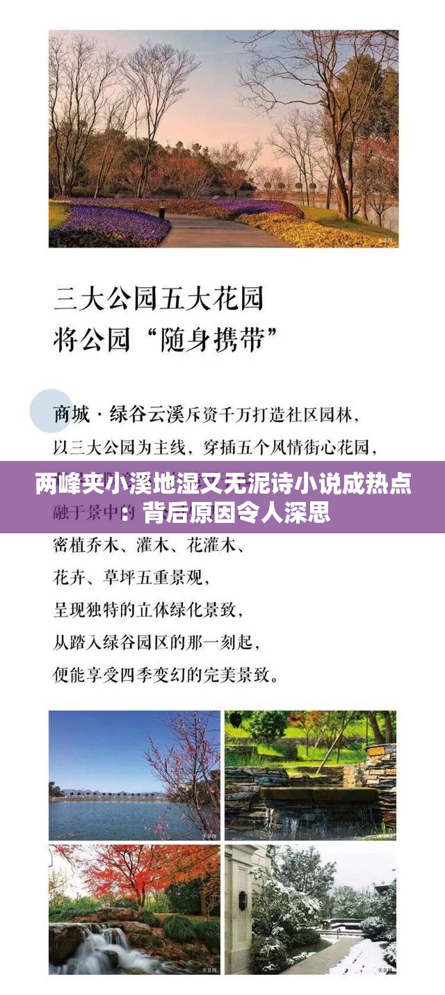 两峰夹小溪地湿又无泥诗小说成热点：背后原因令人深思