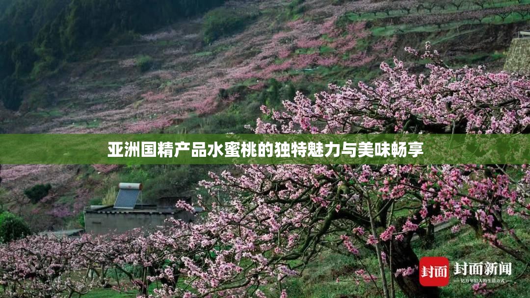 亚洲国精产品水蜜桃的独特魅力与美味畅享