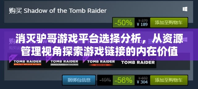 消灭驴哥游戏平台选择分析，从资源管理视角探索游戏链接的内在价值