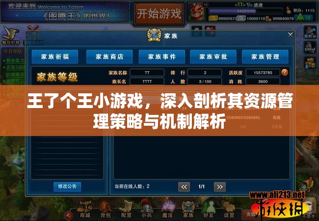 王了个王小游戏，深入剖析其资源管理策略与机制解析